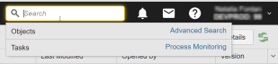 Screenshot of the global search in version 21 when starting a search without entering a string.