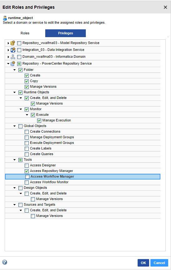 Informatic roles and privileges