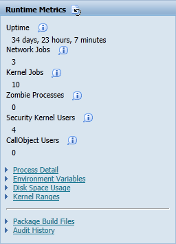 Runtime Metrics in JD Edwards
