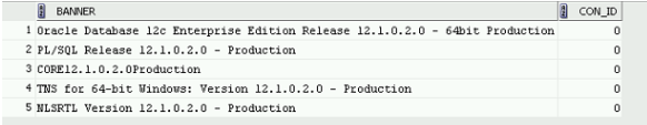 Image showing configuration data for oracle database