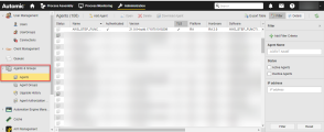 Screenshot of the Administration perspective showing the Agent list, where the newly installed Agent is highlighted.