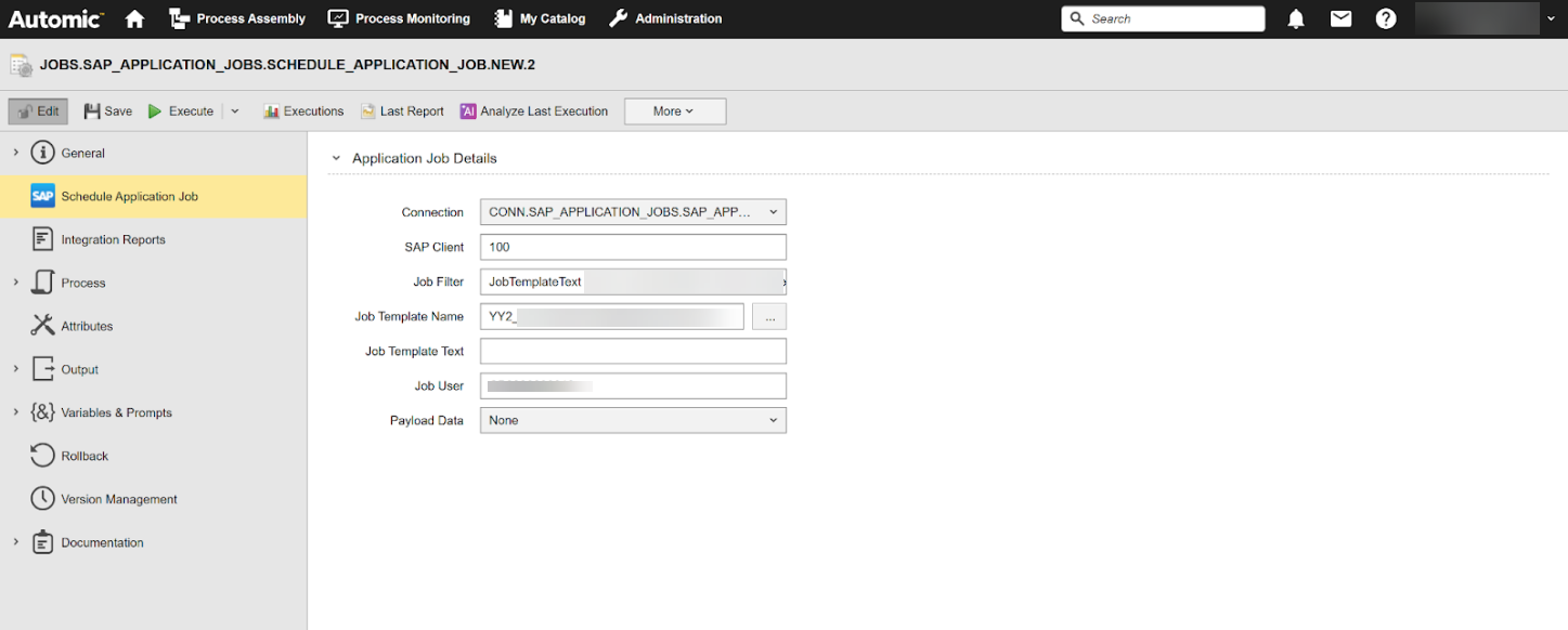 Screenshot showing the Schedule Application Job page of the SAP Application Job.
