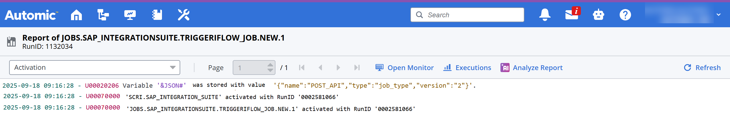 Screenshot of the Activation log after the Workflow is successfully executed.