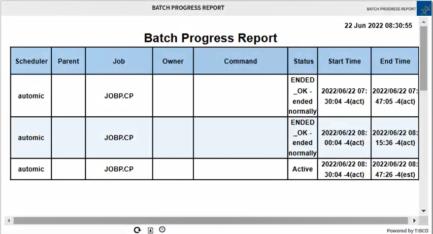 Batch Progress Report