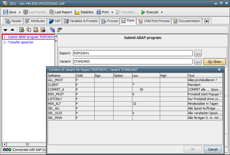 Executing Jobs In Abap Stack Ccms